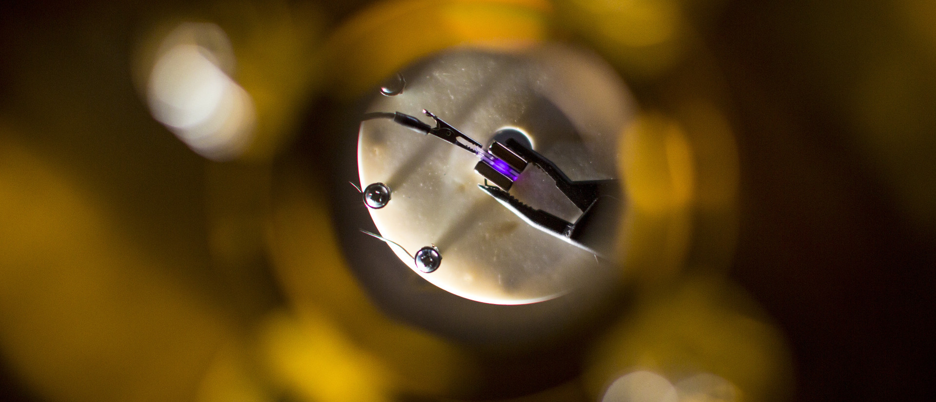 Banner: Zdjęcie aparatury laboratoryjnej w trakcie eksperymentu